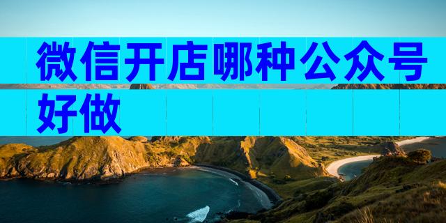 微信开店哪种公众号好做