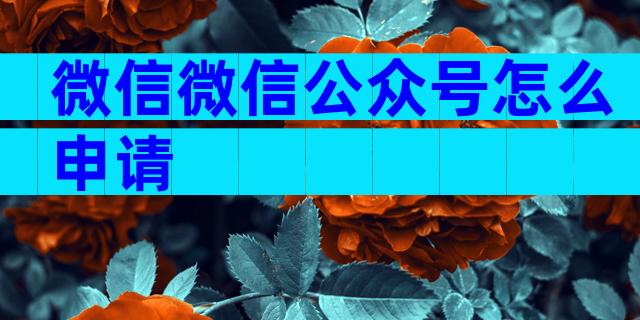 微信微信公众号怎么申请