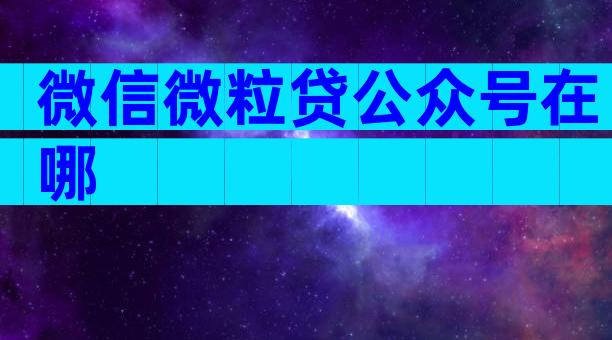 微信微粒贷公众号在哪