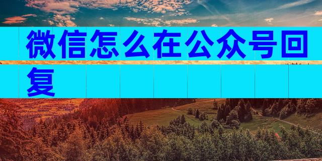 微信怎么在公众号回复