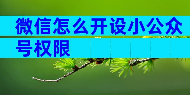 微信怎么开设小公众号权限