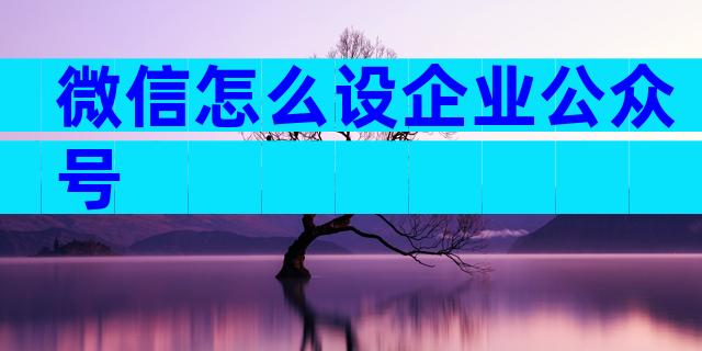 微信怎么设企业公众号