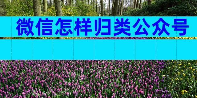 微信怎样归类公众号