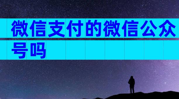 微信支付的微信公众号吗