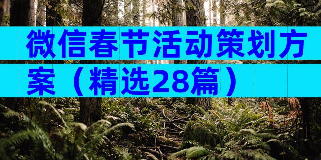 微信春节活动策划方案（精选28篇）