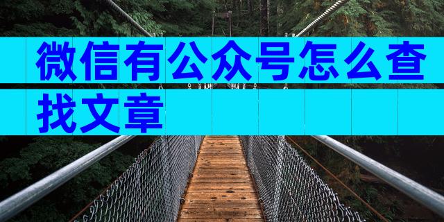 微信有公众号怎么查找文章