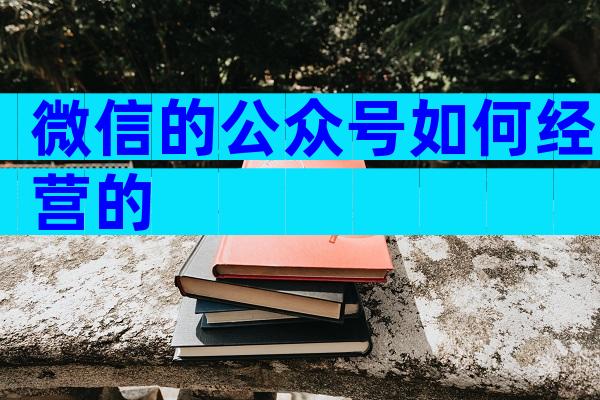 微信的公众号如何经营的