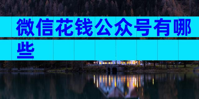 微信花钱公众号有哪些