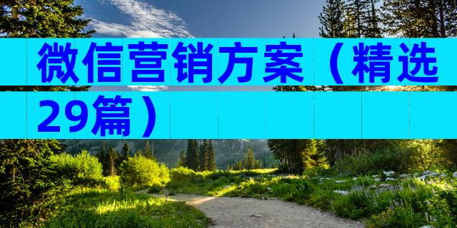 微信营销方案（精选29篇）