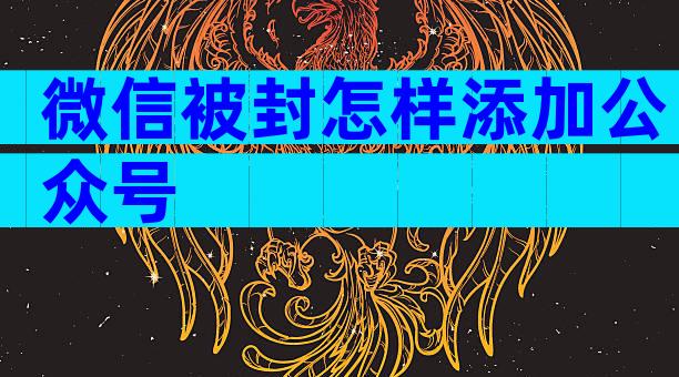微信被封怎样添加公众号