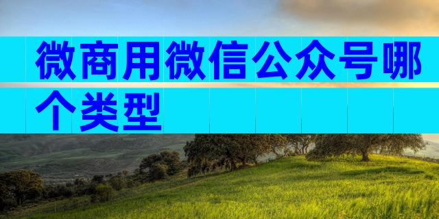 微商用微信公众号哪个类型