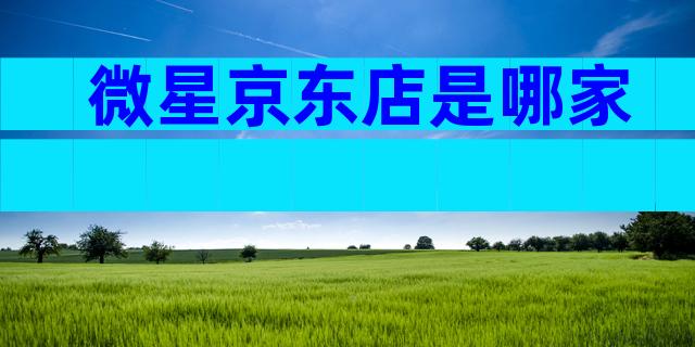 微星京东店是哪家