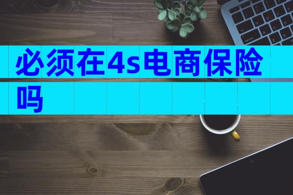 必须在4s电商保险吗