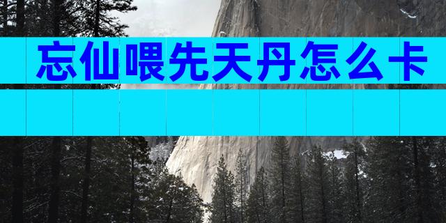 忘仙喂先天丹怎么卡