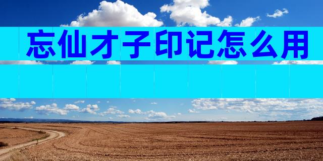 忘仙才子印记怎么用