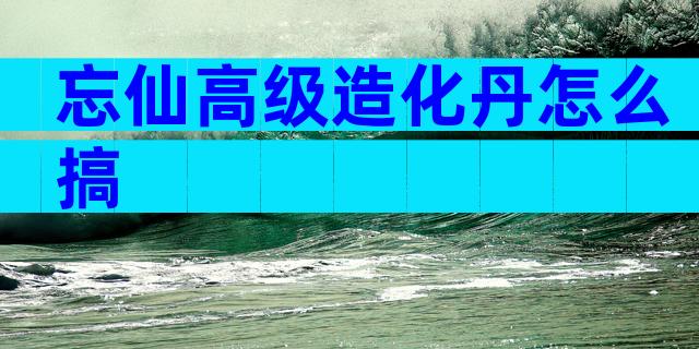 忘仙高级造化丹怎么搞