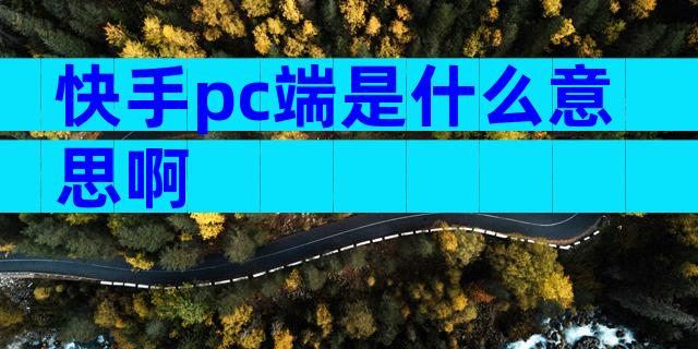 快手pc端是什么意思啊