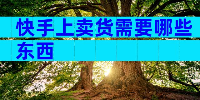 快手上卖货需要哪些东西