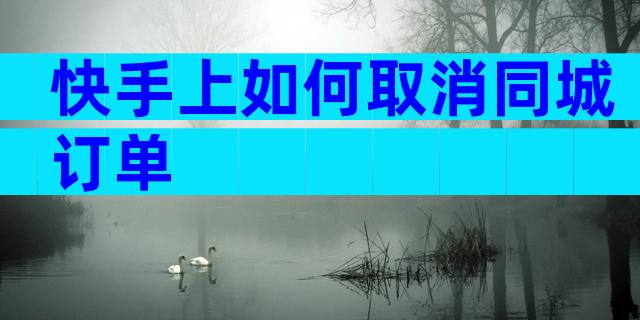 快手上如何取消同城订单