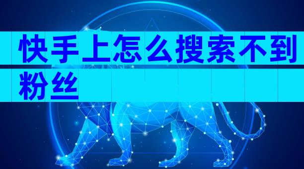 快手上怎么搜索不到粉丝