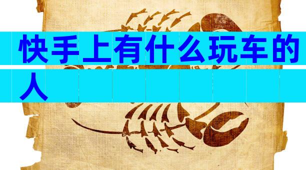 快手上有什么玩车的人