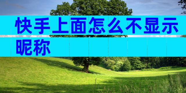 快手上面怎么不显示昵称