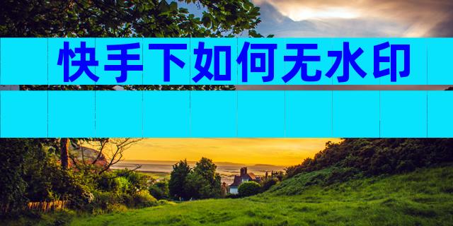 快手下如何无水印