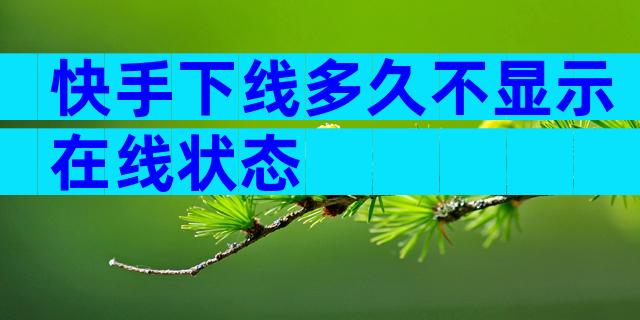 快手下线多久不显示在线状态