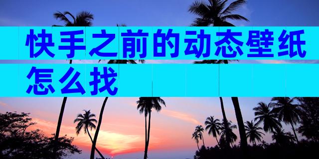 快手之前的动态壁纸怎么找