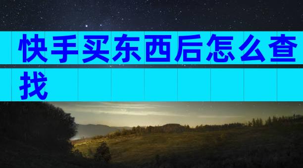 快手买东西后怎么查找
