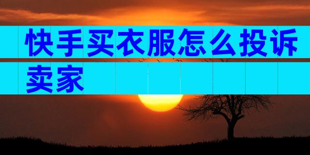 快手买衣服怎么投诉卖家