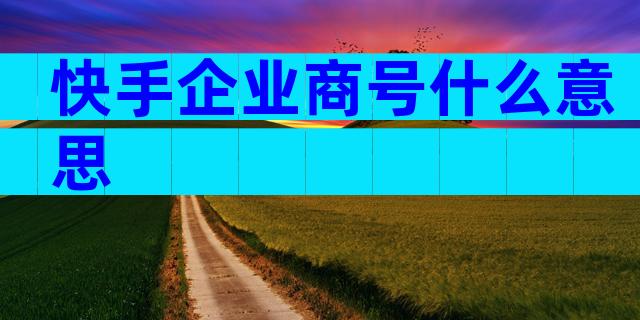 快手企业商号什么意思