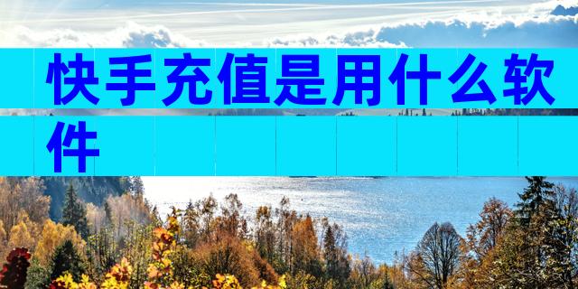 快手充值是用什么软件