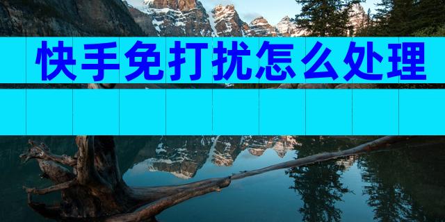 快手免打扰怎么处理