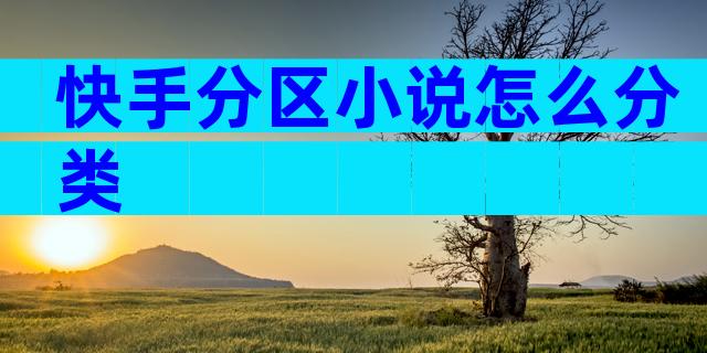 快手分区小说怎么分类