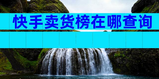 快手卖货榜在哪查询