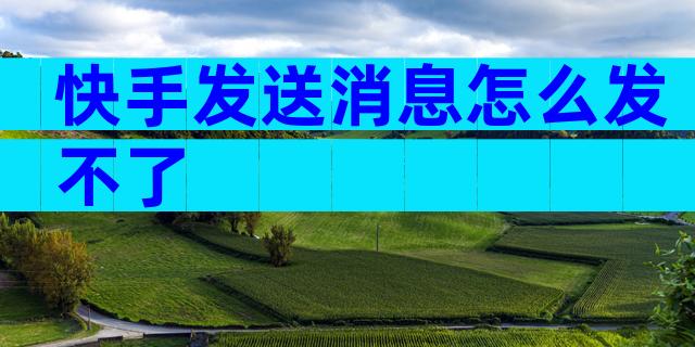 快手发送消息怎么发不了