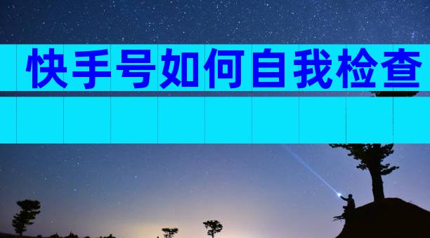 快手号如何自我检查