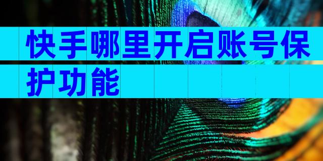 快手哪里开启账号保护功能