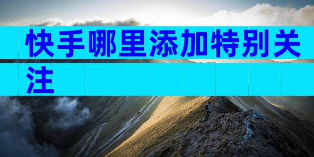 快手哪里添加特别关注
