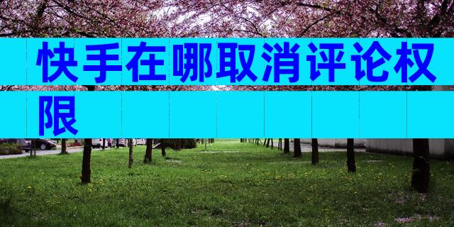 快手在哪取消评论权限