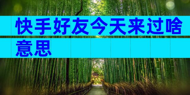 快手好友今天来过啥意思