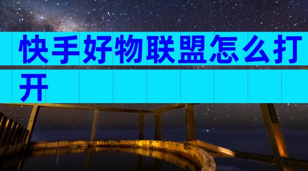 快手好物联盟怎么打开