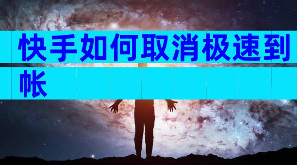 快手如何取消极速到帐