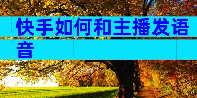 快手如何和主播发语音