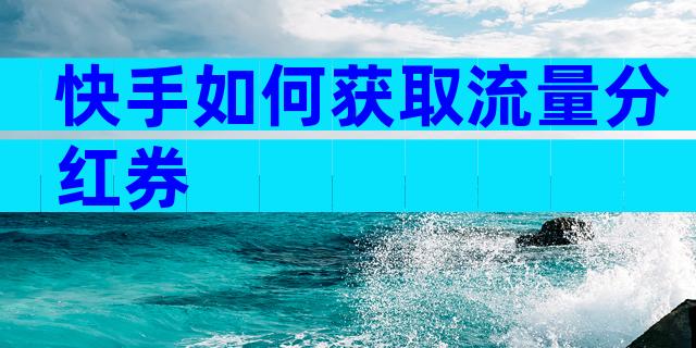 快手如何获取流量分红券