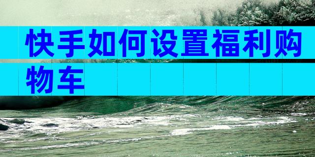 快手如何设置福利购物车