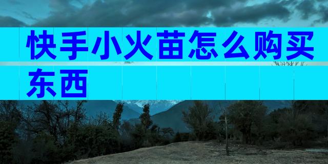 快手小火苗怎么购买东西