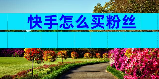 快手怎么买粉丝