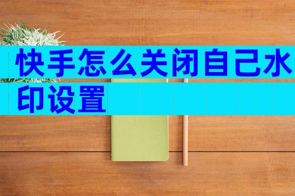 快手怎么关闭自己水印设置